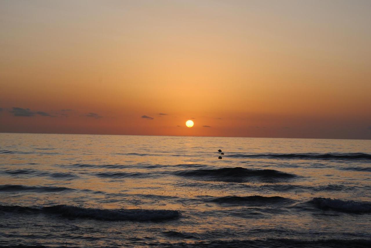 Gandia Playa-Apartamento Gandiazar 2 - Vt- 49300-V Playa de Gandia Eksteriør bilde
